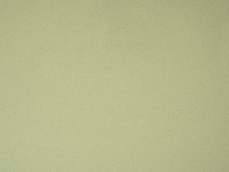 পলিয়েস্টার প্রসারিত আস্তরণের ফ্যাব্রিক